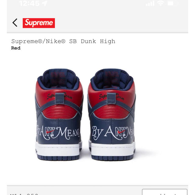 Supreme(シュプリーム)のSupreme DUNK SB red メンズの靴/シューズ(スニーカー)の商品写真