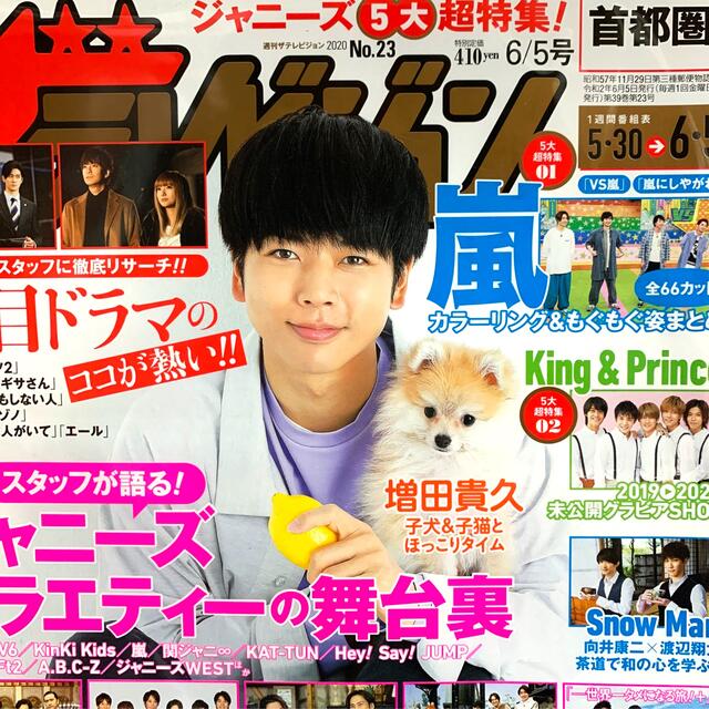 Johnny's(ジャニーズ)の週刊 ザテレビジョン首都圏版 2020年 6/5号 エンタメ/ホビーの雑誌(ニュース/総合)の商品写真