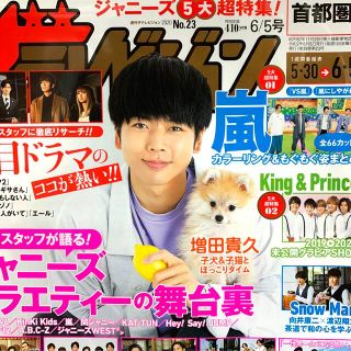 ジャニーズ(Johnny's)の週刊 ザテレビジョン首都圏版 2020年 6/5号(ニュース/総合)