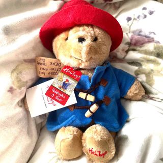 paddington bear ぬいぐるみの通販 41点 | フリマアプリ ラクマ