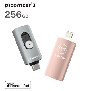 ピコナイザー256GB(その他)