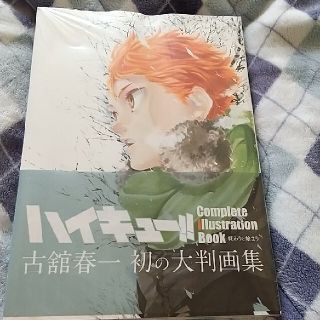 シュウエイシャ(集英社)のハイキュー　画集(期間限定値下げ)(イラスト集/原画集)