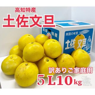 お買い得♪数量限定☆高知特産 土佐文旦 5L 約10kg (フルーツ)