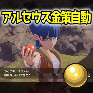 ニンテンドースイッチ(Nintendo Switch)のアルセウス金策自動　きんのたま回収　野盗三姉妹狩り　コントローラー　Switch(その他)