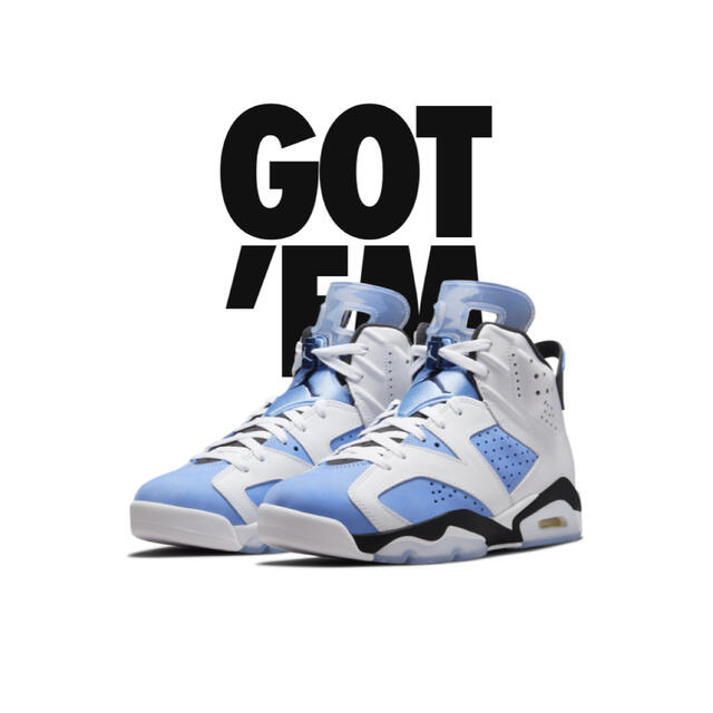 NIKE AIR JORDAN JORDAN6 27cm