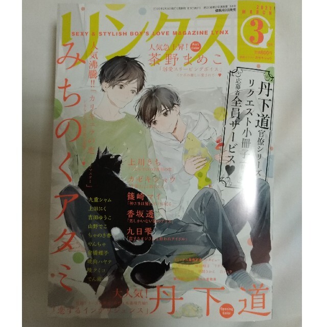 幻冬舎(ゲントウシャ)のリンクス3月号 官僚シリーズ小冊子応募台紙 エンタメ/ホビーの漫画(ボーイズラブ(BL))の商品写真