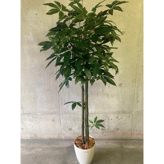 光触媒 人工観葉植物 ウォールグリーン フェイクフラワー