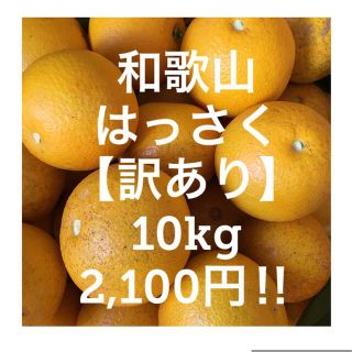 和歌山　はっさく　ご家庭用【訳あり】(フルーツ)