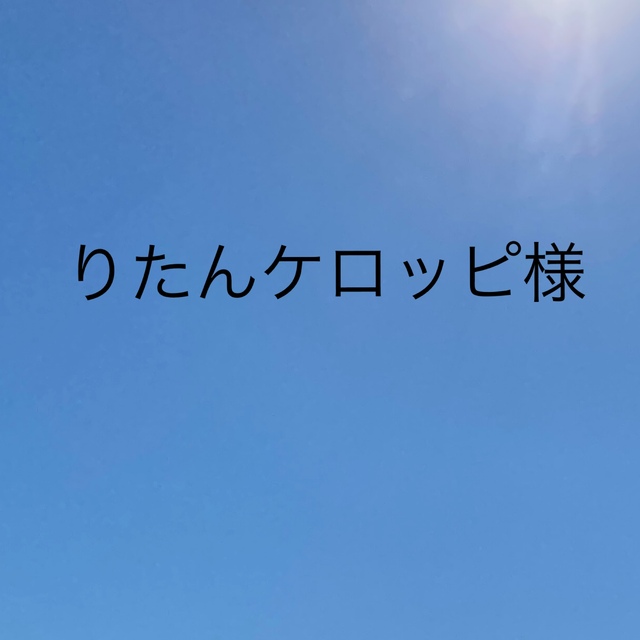 りたんケロッピ様 専用ページ - キット/セット