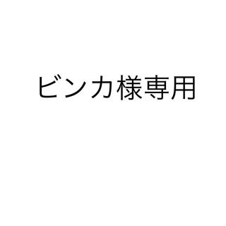 ビンカ様専用ページ(その他)