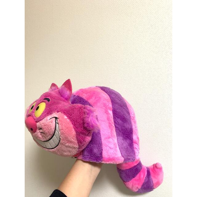 チシャ猫 ファンキャップ チシャ猫 ファンキャップ