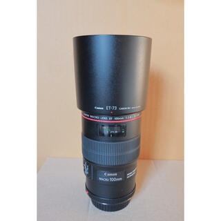 キヤノン(Canon)のCanon (キヤノン) EF100mm F2.8Lマクロ IS USM(レンズ(単焦点))