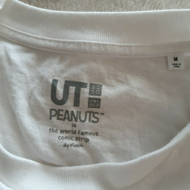 PEANUTS(ピーナッツ)のPEANUTS　スヌーピー　チャーリーブラウン　Tシャツ　カットソー レディースのトップス(Tシャツ(半袖/袖なし))の商品写真