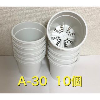 《A-30》白 10個 プラ鉢 3号 スリット鉢 多肉植物 生産者(プランター)