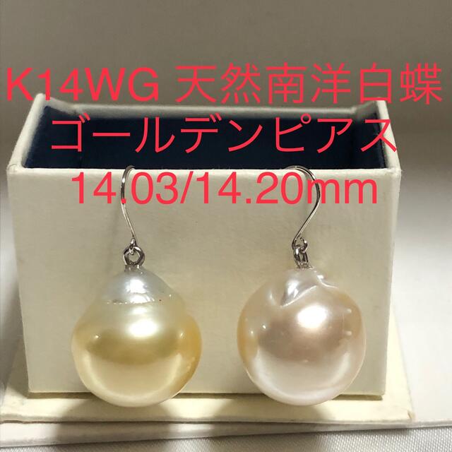 独特な店 K14WG 天然南洋白蝶ゴールデン真珠ピアス 14.03/14.20mm