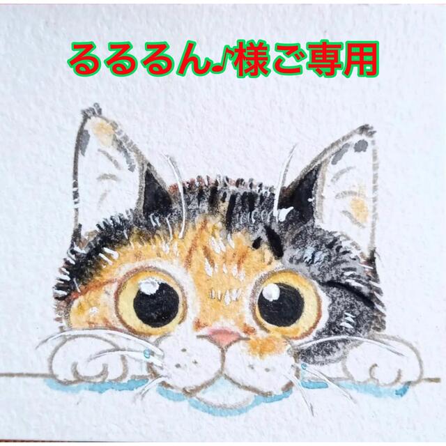 BANAKEN✖️NEOSHIHO botanaize】 wesleyuni.edu.ng