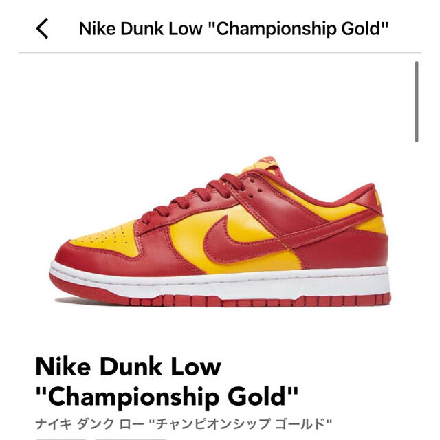 Nike ふるさと割 Dunk Low 【SALE／97%OFF】 