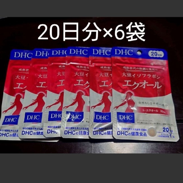 DHC 大豆イソフラボン エクオール 20日分 20粒 × 6袋2024年2月 - その他