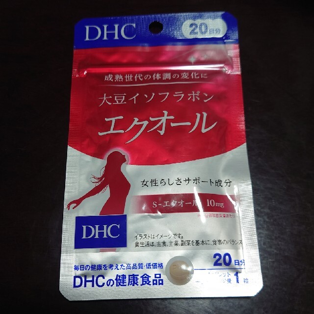DHC 大豆イソフラボン エクオール 20日分 20粒 6セット - その他