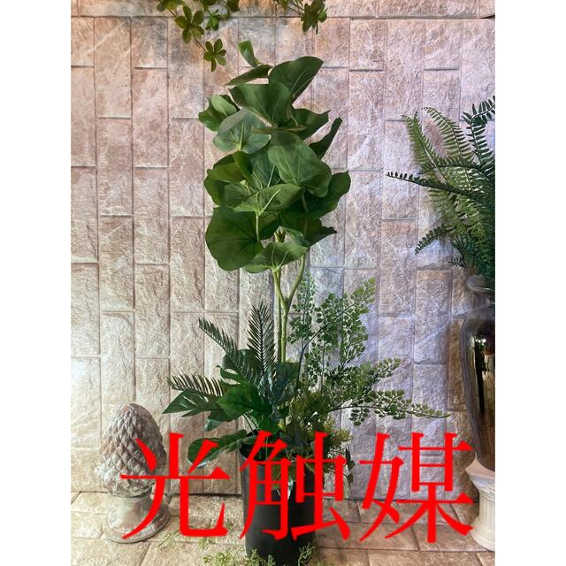 驚きの価格が実現!】 光触媒 人工観葉植物 ウォールグリーン フェイク