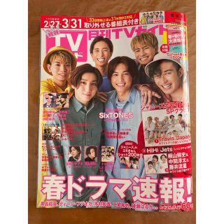 月刊 TVガイド関東版 2022年 04月号　番組表なし(音楽/芸能)