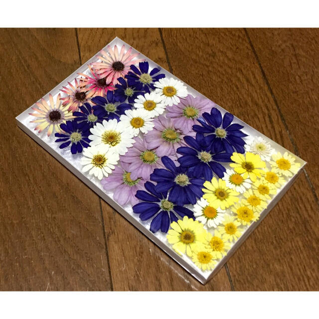 く④ 銀の紫陽花が作った可愛い春色のお花たちのドライフラワー ハンドメイドのフラワー/ガーデン(ドライフラワー)の商品写真