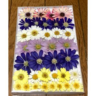 く④ 銀の紫陽花が作った可愛い春色のお花たちのドライフラワー(ドライフラワー)