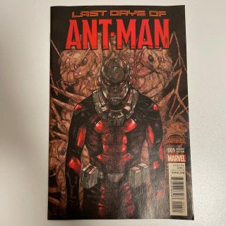 マーベル(MARVEL)のアメコミ　LAST DAYS OF ANT-MAN 林田球(アート/エンタメ)