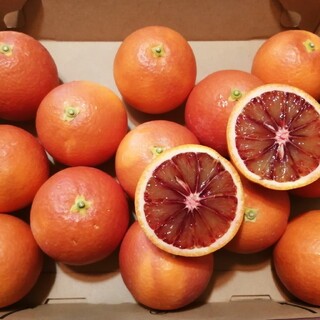 ブラッドオレンジ1.2キロ(宅急便コンパクト)(フルーツ)