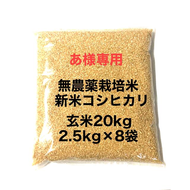 います かいのすけ様 専用 コシヒカリ 無農薬 玄米 20kg 令和元年 徳島県産の通販 by U-KO's shop｜ラクマ います