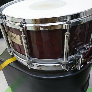 Pearl  フリーフローティング  メイプル 14×6.5