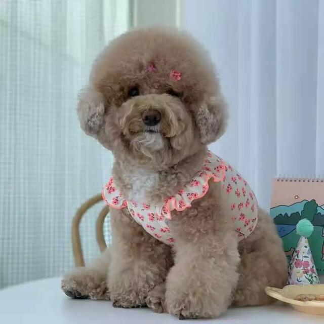 犬服 ペット服 ピンク 花柄 春夏 袖なし【翌日発送】 その他のペット用品(犬)の商品写真