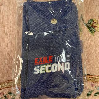 エグザイルザセカンド(EXILE THE SECOND)のEXILE THE SECOND PERFECT LIVE 2012-2020(ミュージシャン)