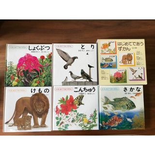 はじめてであうずかん全５冊(絵本/児童書)