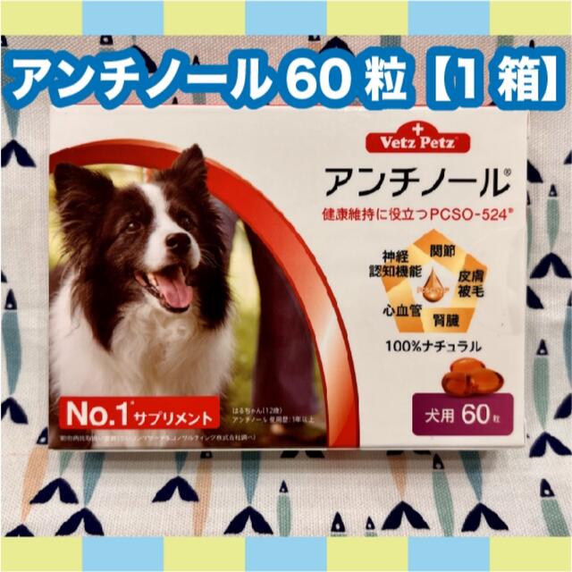 犬用 アンチノールプラス 90カプセル×10箱