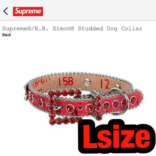 Supreme B.B. Simon Studded Dog Collar L