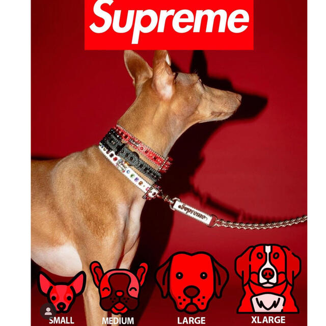 Supreme B.B. Simon Studded Dog Collar L 1