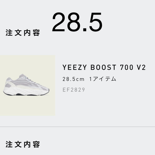 adidas YEEZY BOOST 700 V2 “STATIC”