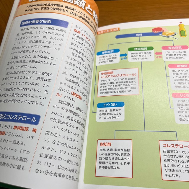 筋肉をつくる食事・栄養パーフェクト事典 体づくり、筋肥大から体脂肪低減まで エンタメ/ホビーの本(趣味/スポーツ/実用)の商品写真