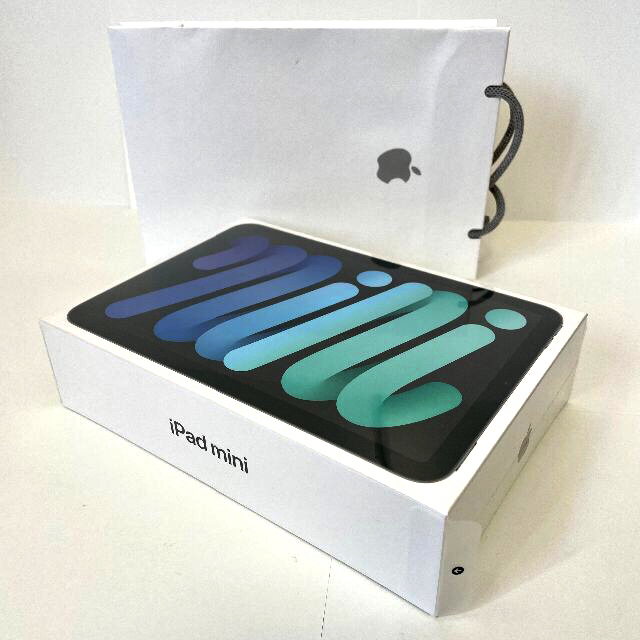 iPad mini 6 セルラー 256GB SIMフリー スペースグレイ 交換無料 www