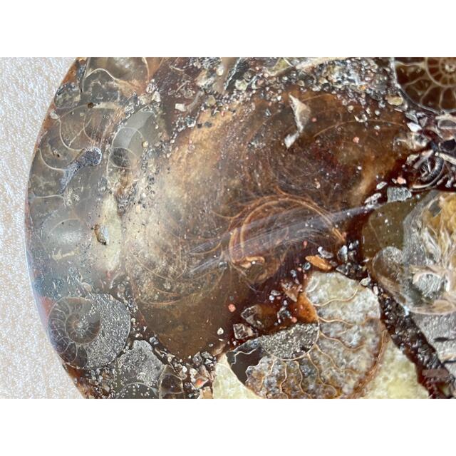 天然マダガスカル産 縫合線オパールアンモナイト 化石標本193ｇ　120ｍｍ エンタメ/ホビーの美術品/アンティーク(その他)の商品写真