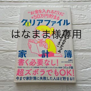 実録クリアファイル家計簿 “お金を入れるだけ”で＋５０万円貯まる(その他)