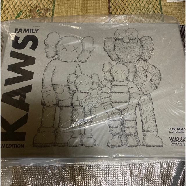 KAWS FAMILY GREY/PINK/FLUORO PINKBERBRICK