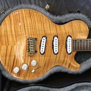 ギブソン(Gibson)のDavid Thomas McNaught VSC3S +トーマスM(エレキギター)