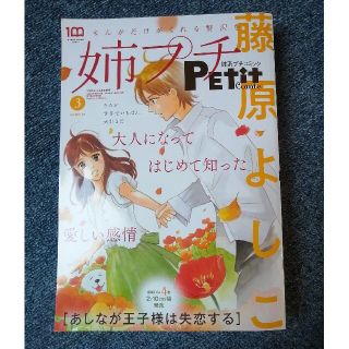 姉系Petit Comic (プチコミック) 2022年 03月号(少女漫画)