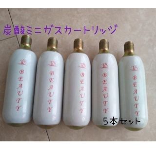 YUUKI  炭酸ガス カートリッジ（ボンベ） 5本セット(フェイスケア/美顔器)