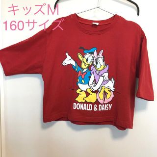 セシール(cecile)の五分袖Tシャツ☆cecile☆キッズＭサイズ(Tシャツ/カットソー)