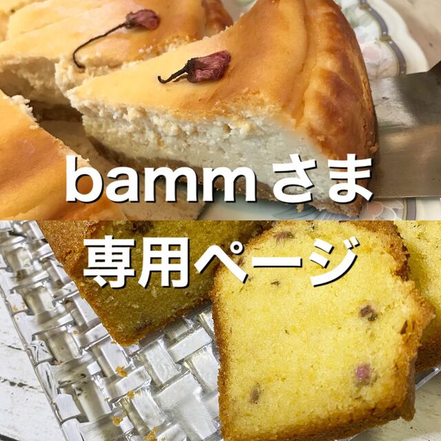 bammさま専用ページ