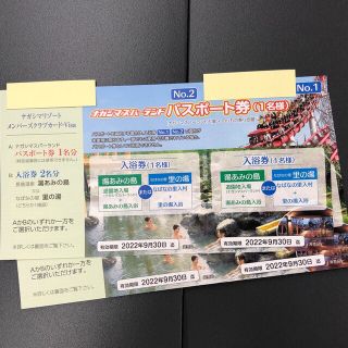 ナガシマスパーランドパスポート券の2枚セットです。(遊園地/テーマパーク)