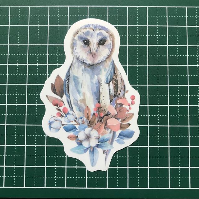 メンフクロウ 正面 お花 神秘的 写実的なイラスト 防水ステッカーの通販 By Tropical Sea Shop ラクマ メンフクロウ 正面 お花 神秘的 写実的なイラスト 防水ステッカーの通販 By Tropical Sea Shop ラクマ